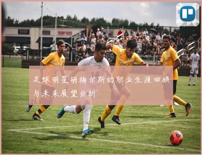 足球明星胡梅尔斯的职业生涯回顾与未来展望分析