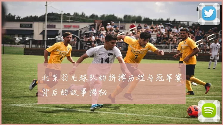 北京羽毛球队的拼搏历程与冠军赛背后的故事揭秘