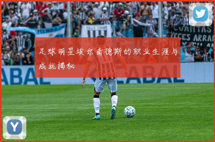 足球明星埃尔南德斯的职业生涯与成就揭秘