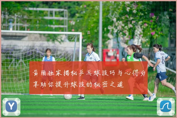 黄丽独家揭秘乒乓球技巧与心得分享助你提升球技的秘密之道