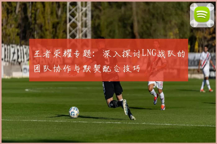 王者荣耀专题：深入探讨LNG战队的团队协作与默契配合技巧