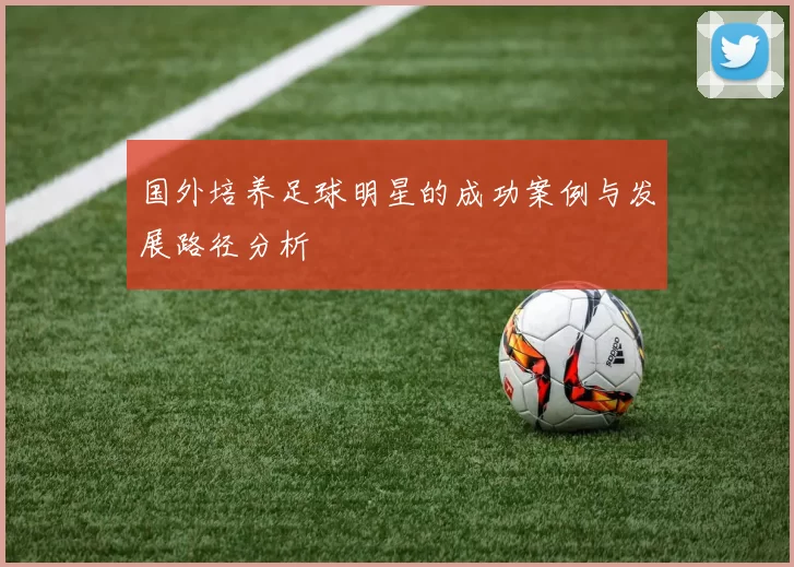 国外培养足球明星的成功案例与发展路径分析