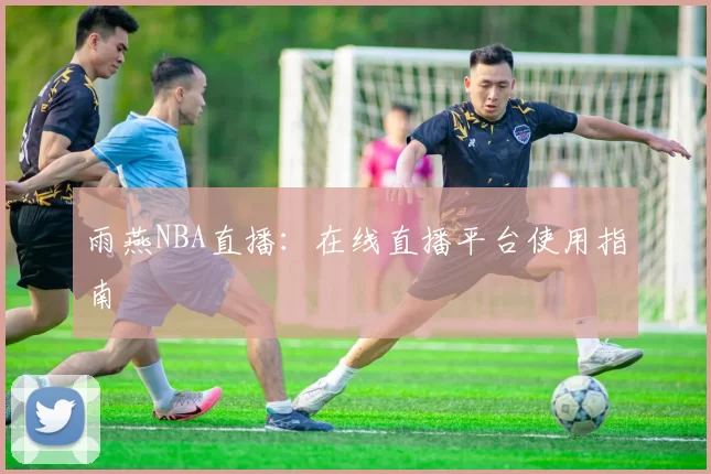 雨燕NBA直播：在线直播平台使用指南