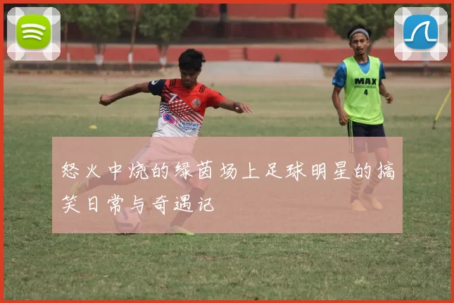 怒火中烧的绿茵场上足球明星的搞笑日常与奇遇记