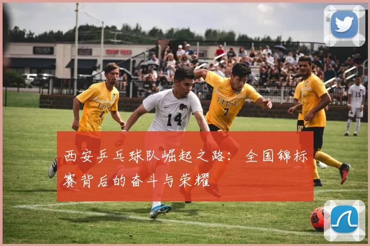 西安乒乓球队崛起之路：全国锦标赛背后的奋斗与荣耀