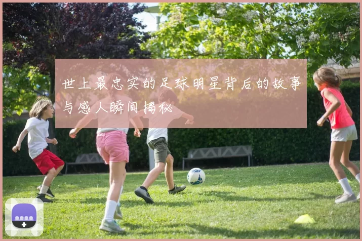 世上最忠实的足球明星背后的故事与感人瞬间揭秘