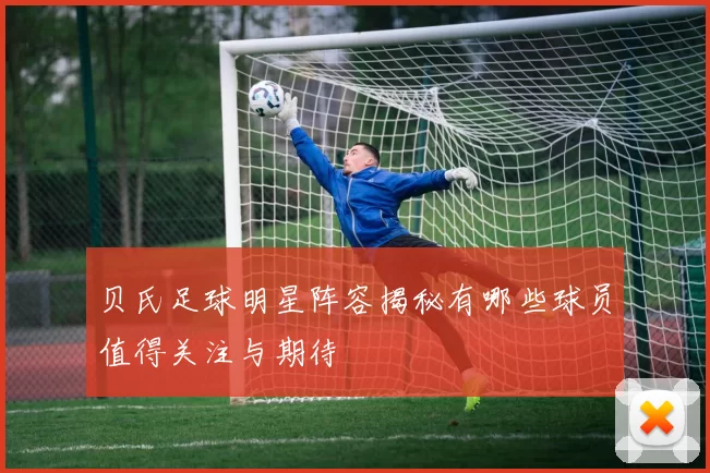 贝氏足球明星阵容揭秘有哪些球员值得关注与期待