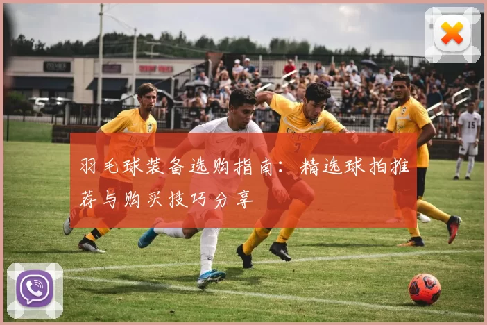 羽毛球装备选购指南：精选球拍推荐与购买技巧分享