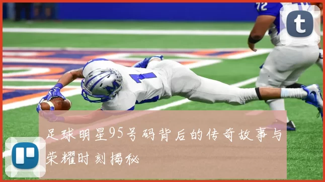 足球明星95号码背后的传奇故事与荣耀时刻揭秘
