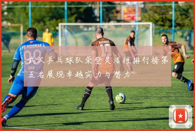 武汉乒乓球队荣登灵活性排行榜第五名展现卓越实力与潜力