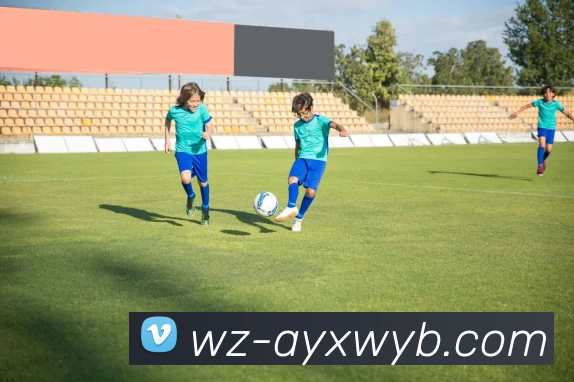 爱游戏发展历程